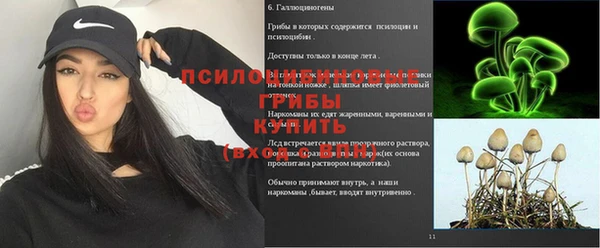винт Алексин