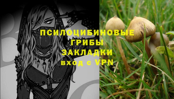 мескалин Алексеевка