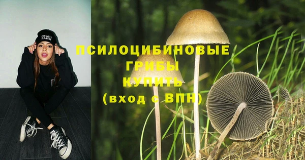 мескалин Алексеевка