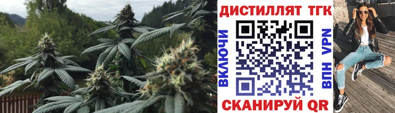 мориарти Telegram  Майкоп  Дистиллят ТГК Wax 