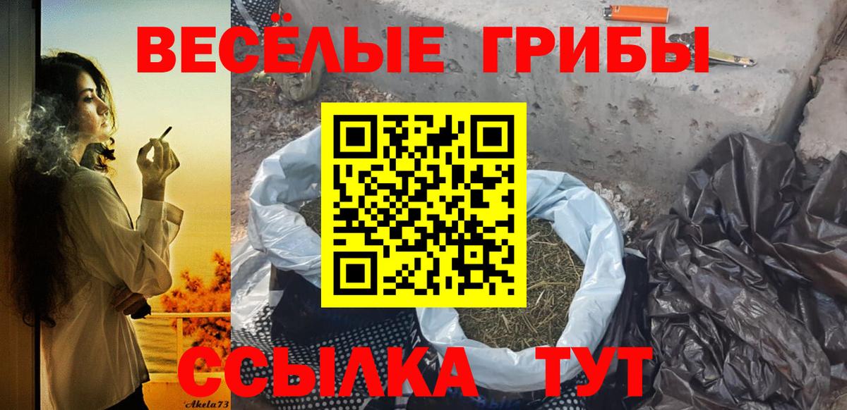 Галлюциногенные грибы мухоморы Майкоп