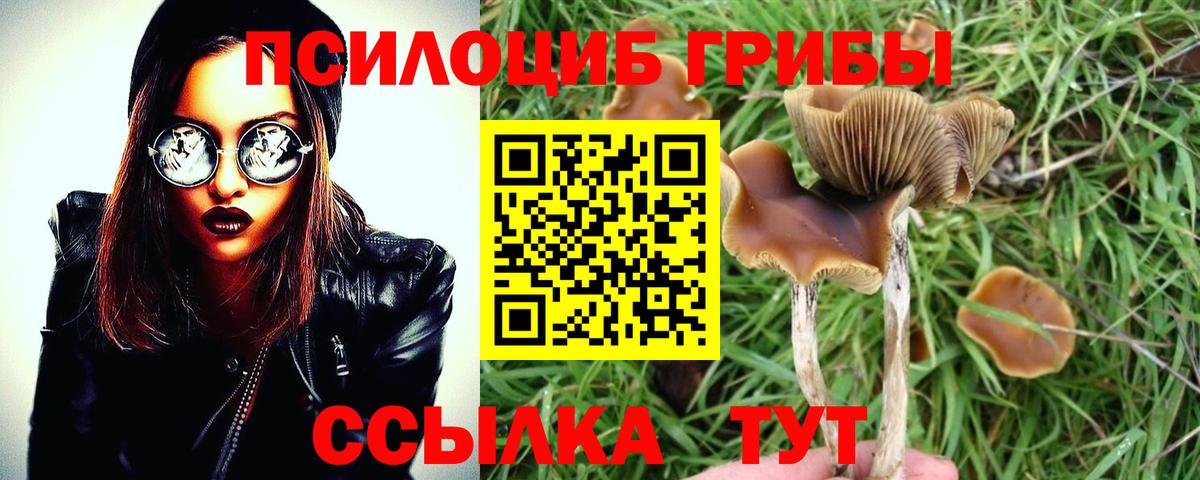 Псилоцибиновые грибы MAGIC MUSHROOMS  Вход с VPN  где найти наркотики  Майкоп 
